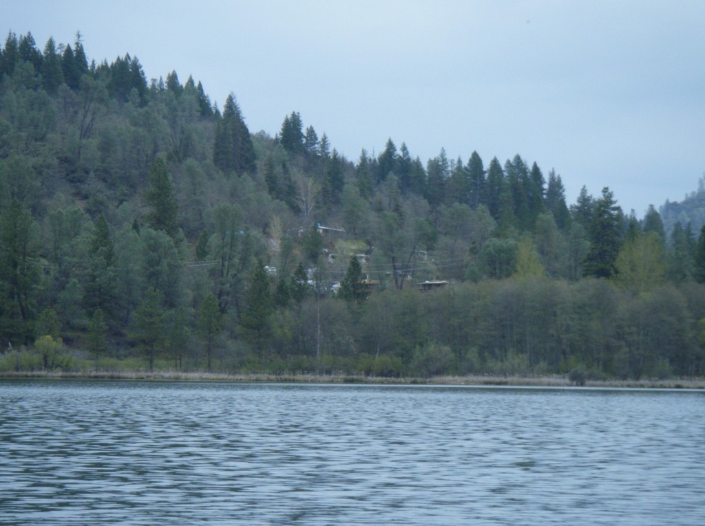 View from the lake