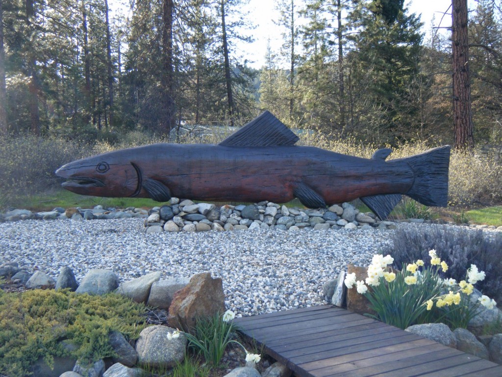 big fish